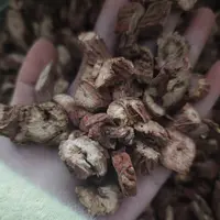丹参可搭配黄芪山楂三通茶可泡水喝适用于中老年