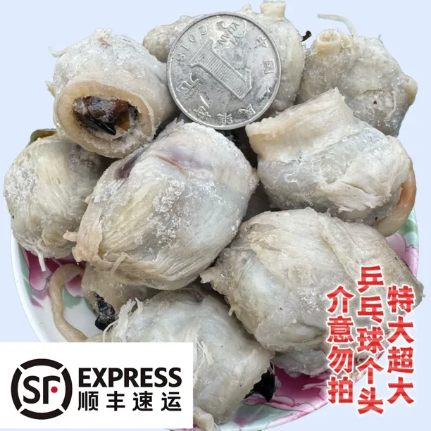 【顺丰速运】特大 三斤墨鱼嘴鱼嘴巴新鲜鱿鱼嘴目鱼嘴章鱼嘴下饭