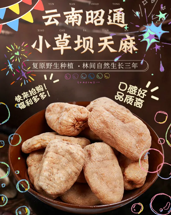 正宗云南昭通小草坝林下种植乌天麻福利价 产地包邮亏本冲量