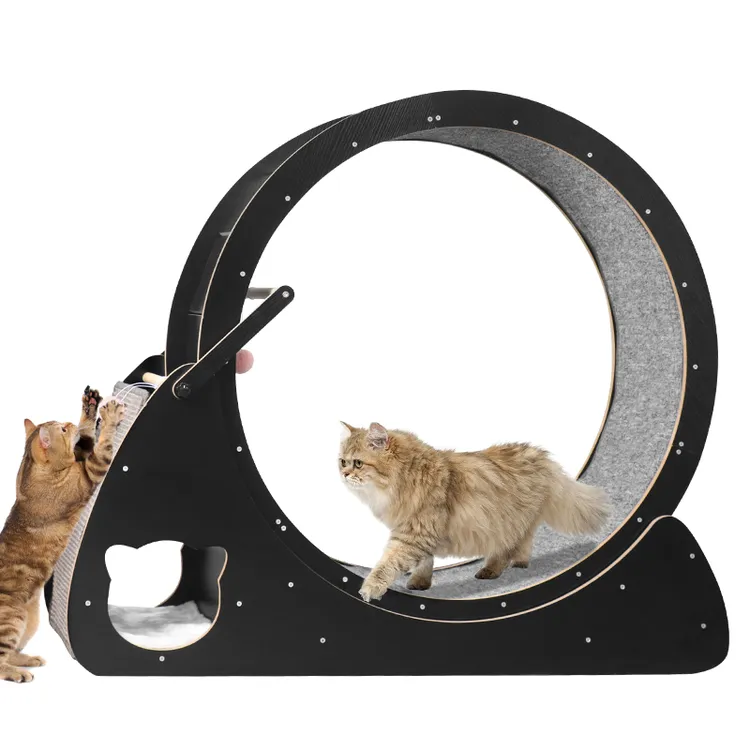 罐罐专属盼四季猎户座猫咪跑步机防卡脚宠物专用转轮健身运动玩具