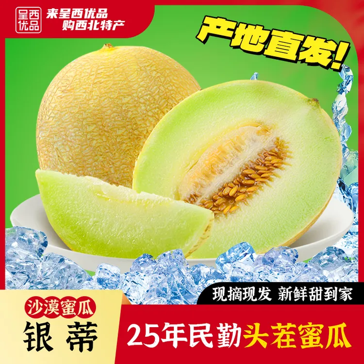 2025年民勤蜜瓜白兰瓜香甜沙漠蜜瓜甜瓜当季新鲜瓜果脆嫩甘肃蜜瓜