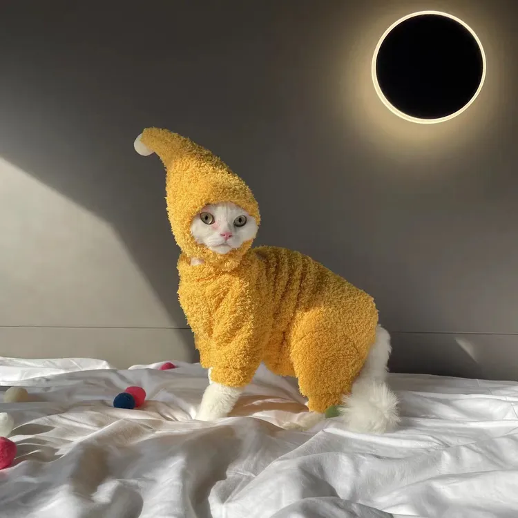 秋冬新款猫咪保暖加厚加绒云朵柔软防掉毛斯芬克斯无毛猫宠物衣服