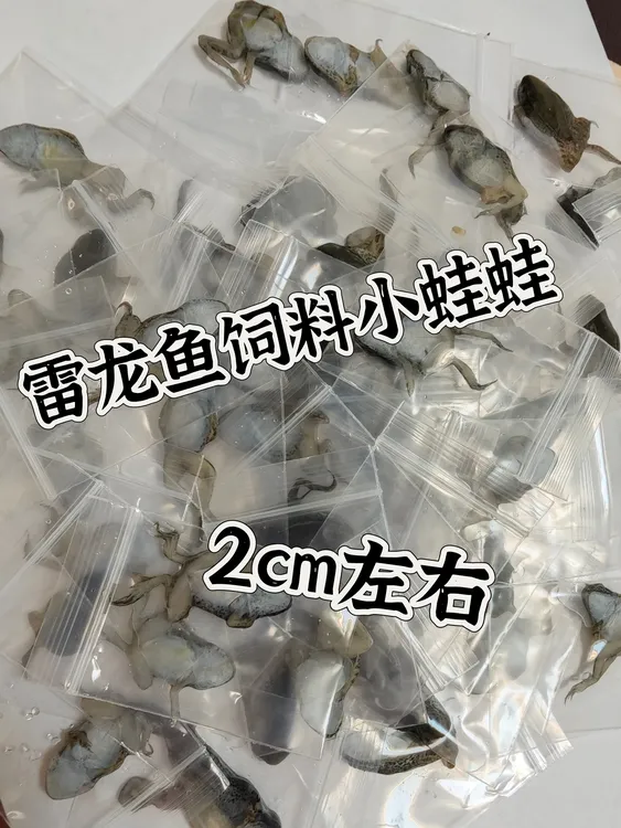 雷龙饲料蛙稻田活体冷冻长帆开口补钙通用型活性好长帆神器