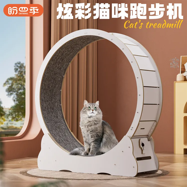 盼四季猫咪实木滚轮家具板跑步机猫爬架宠物专用跑步机