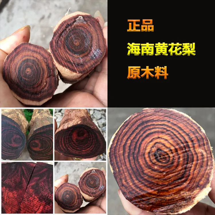 海南黄花梨原木料手串料手把件料雕刻正宗海南黄花梨手串