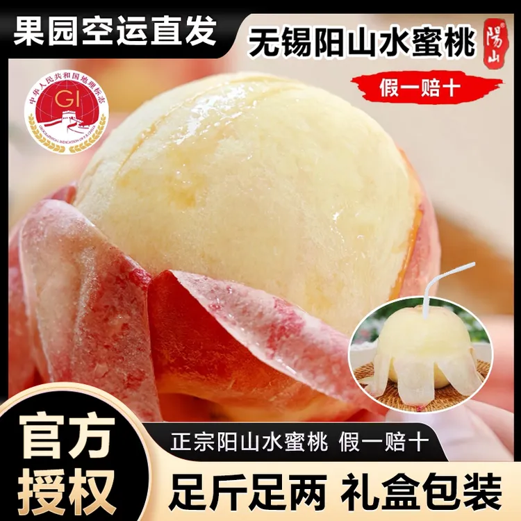 【桃王7-6两-双箱12颗礼盒装】正宗无锡阳山水蜜桃现采现摘鲜果