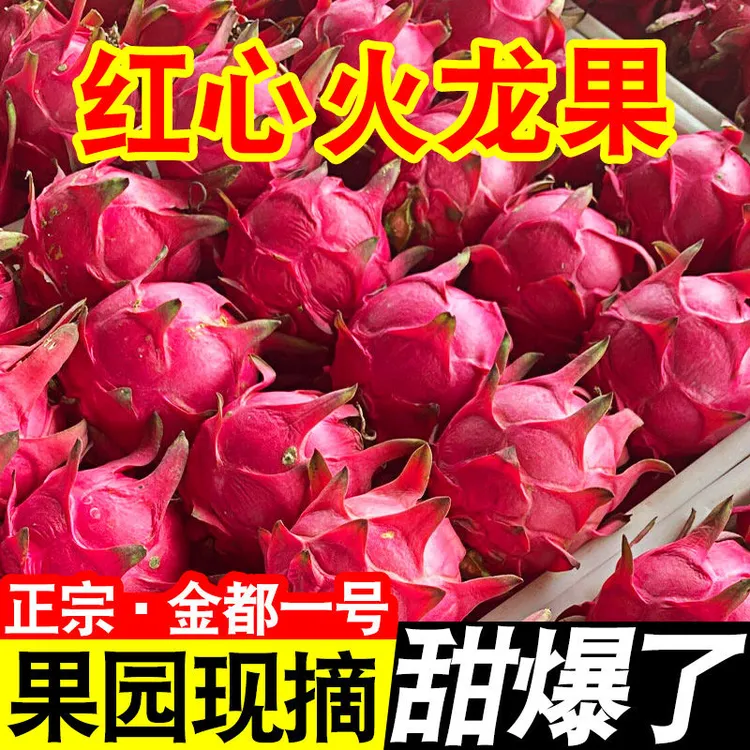 广西红心火龙果金都一号新鲜水果皮薄肉甜热带包邮批发