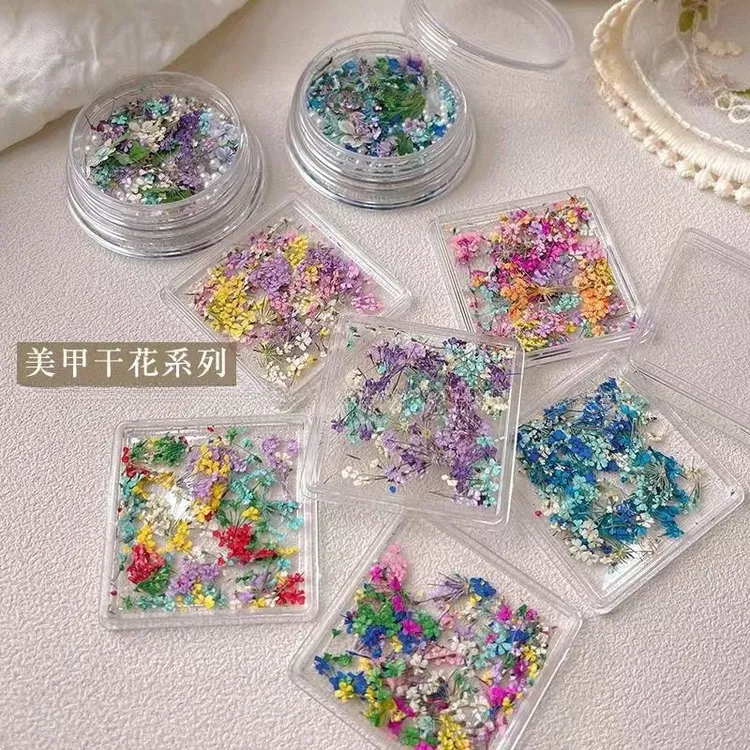 美甲干花日系小清新满天星混款小碎花盒装指甲装饰美甲店专用干花