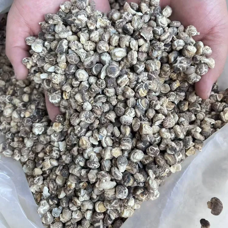 新货精选迷你小花菇农家土特产干货肉厚花菇味浓助农农产品干货