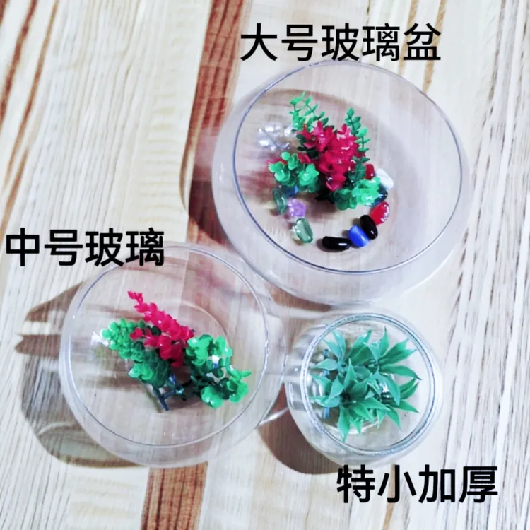 禄根用盆透明玻璃水仙盆铜钱草碗莲盆小型乌龟缸客厅家用景观花器