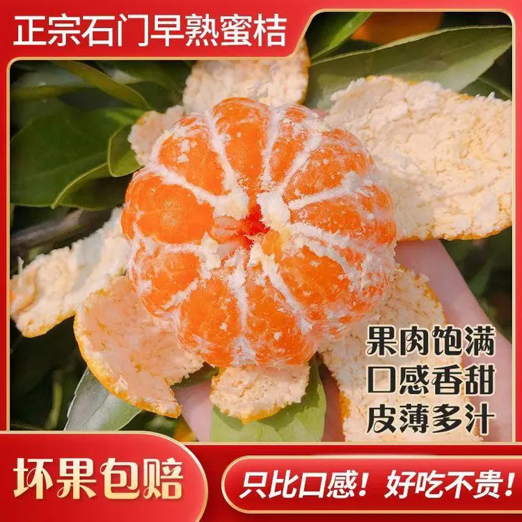 【5斤装】石门早熟蜜橘皮薄多汁无籽无核应季水果现摘现发