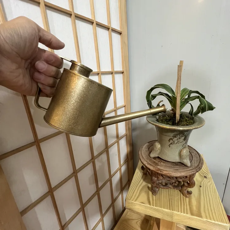 铜制盆景浇水壶,高10cm长22cm