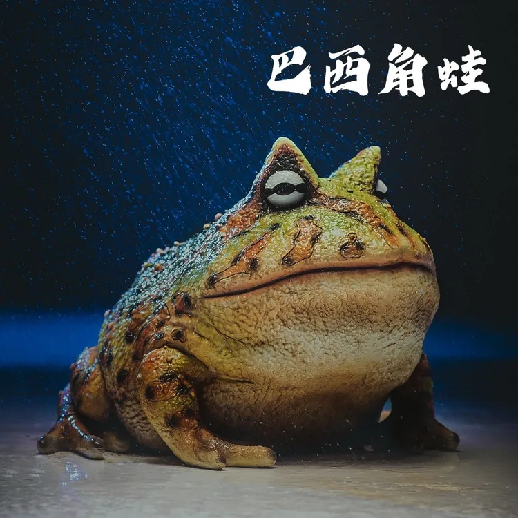 外贸出口高仿真巴西角蛙爬宠物模型手办礼物品文创潮玩具年会摆件