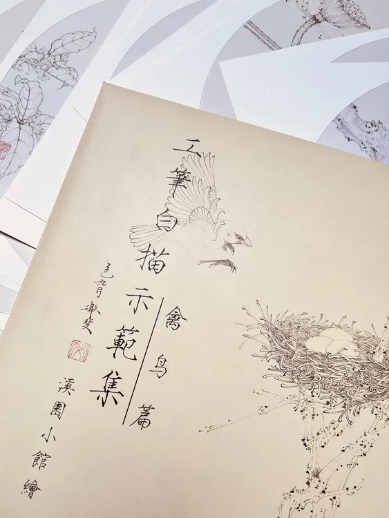 【禽鸟篇】工笔花鸟白描示范练习集