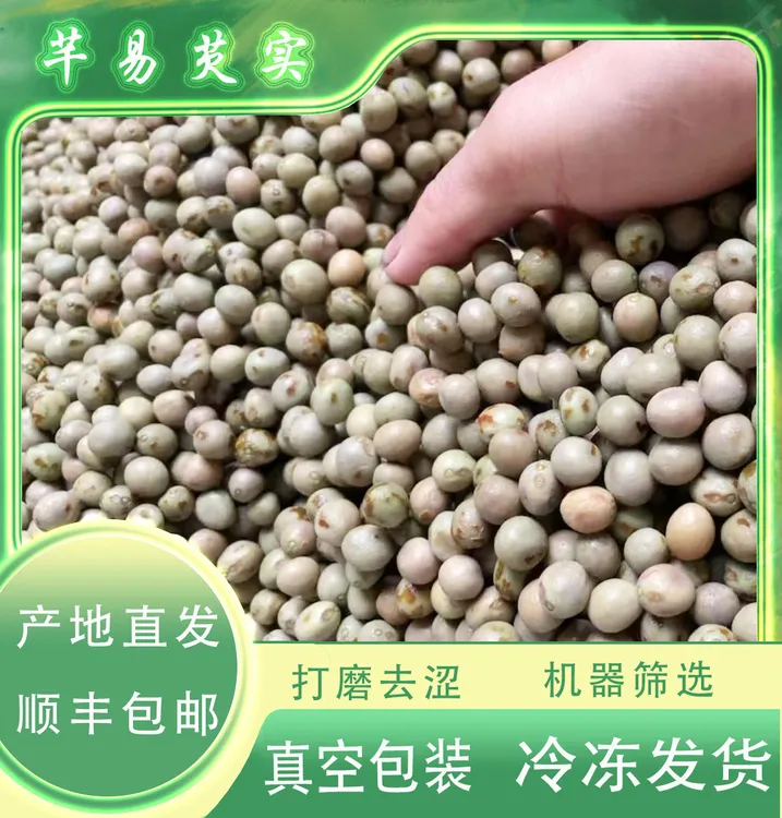 【顺丰包邮】信阳淮滨正宗新鲜芡实鸡头米鸡头果大果
