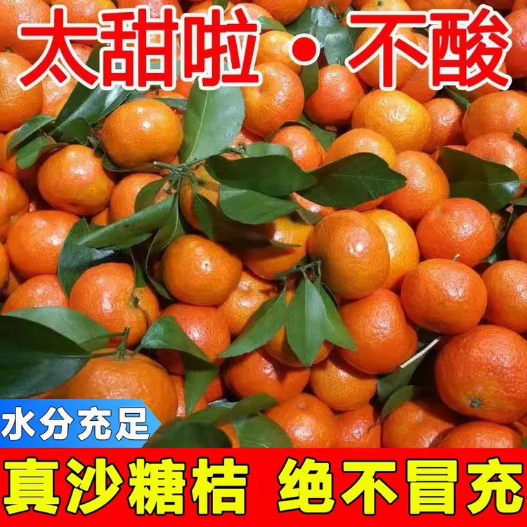 广西新鲜采摘沙糖桔皮薄多汁当季应季水果原产地直发