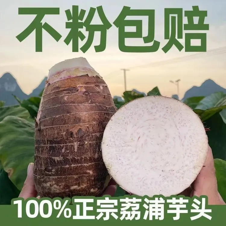【原产地发货】正宗荔浦芋头新鲜现挖香芋芋艿毛芋头广西荔浦芋头