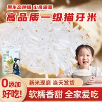 【瑶山丝苗米】猫牙米长粒南方晚稻新鲜现磨炒饭家庭晚稻一年一季