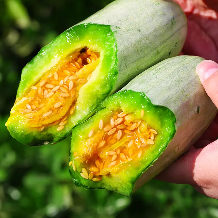 山东羊角蜜甜瓜3/4.5斤新鲜水果当季秋茬香瓜香甜松脆羊角蜜瓜