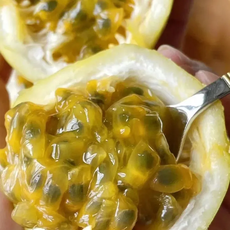 正宗广西钦蜜9号百香果新鲜当季香甜多汁水果