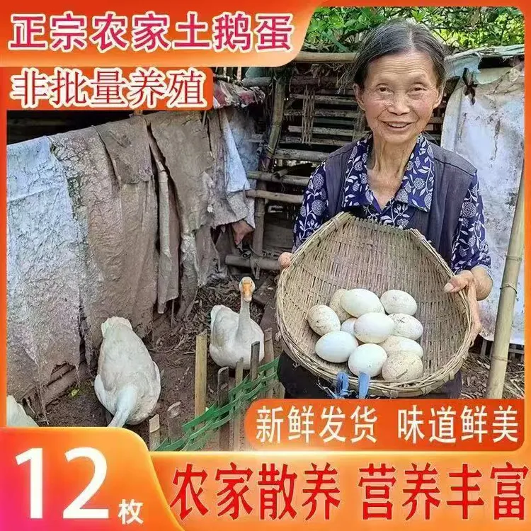 农家散养土鹅蛋 现捡现发12枚80-100克包邮