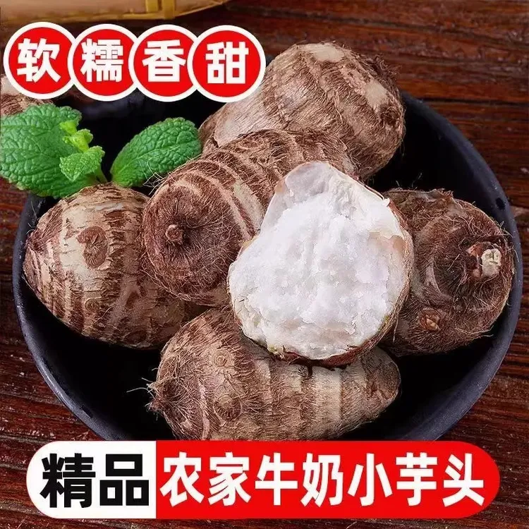 贵州新鲜芋头牛奶小芋头毛芋头软糯粉滑香芋艿芋仔高山时令蔬菜