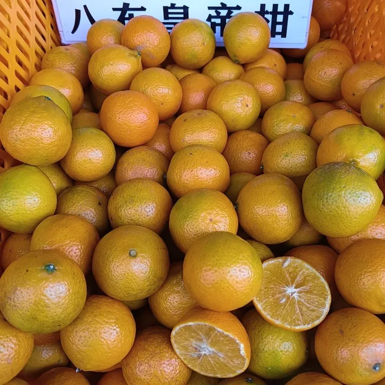 云南文山麻栗坡皇帝柑