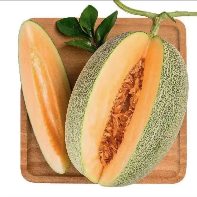 点缀专属哈密瓜【菜乡商贸】山东寿光当季水果新鲜现摘脆甜多汁水果