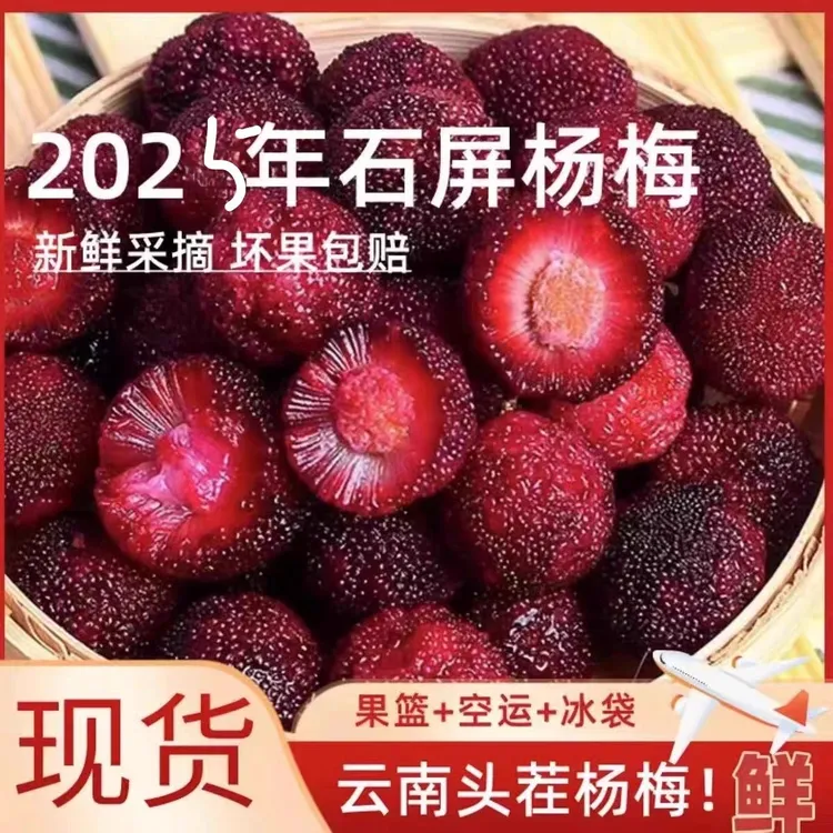 顺丰空运云南石屏2025新鲜杨梅高山种植特 早梅现摘现发