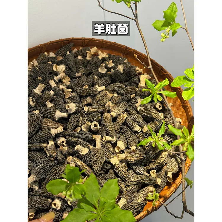【满妈专属】足干厚肉香 精选六妹羊肚菌干货(密封冷藏保存)