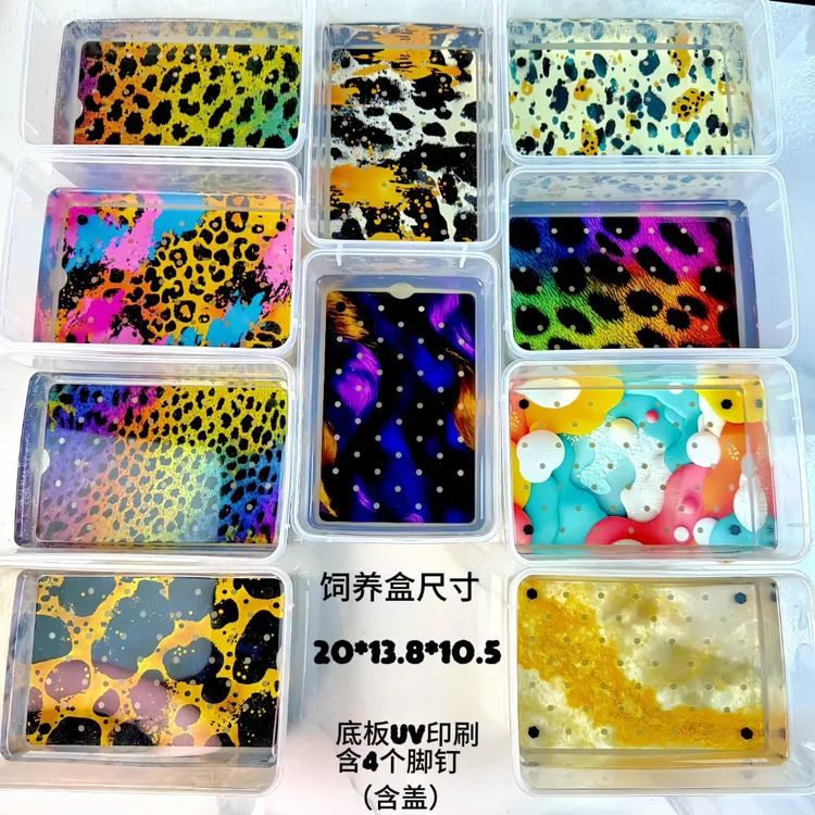 龟趣 蛋龟乌龟发色盒 饲养盒 育苗盒 剃刀果核窄桥头盔墨蛋萨尔文