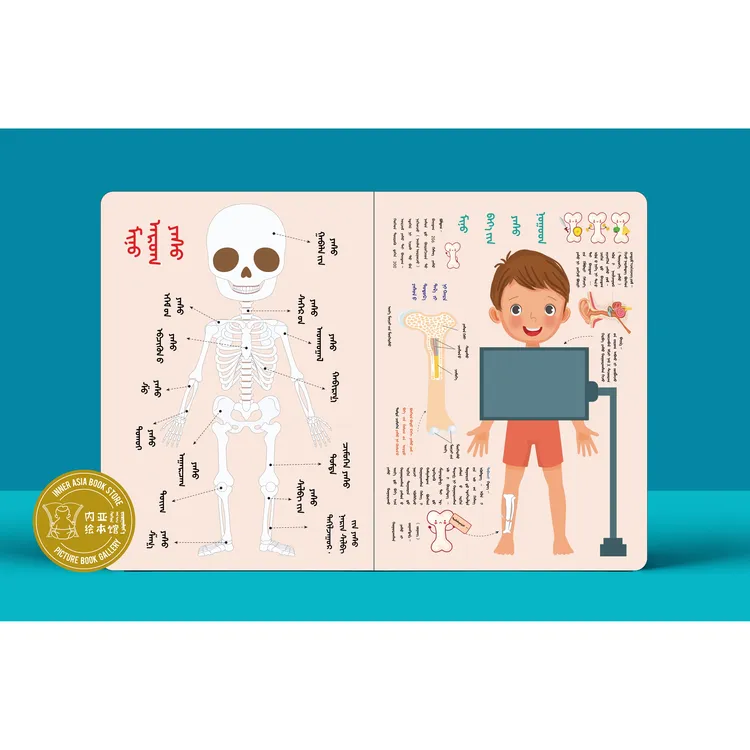 【内亚出品】我的身体 （认知卡片 贴纸）