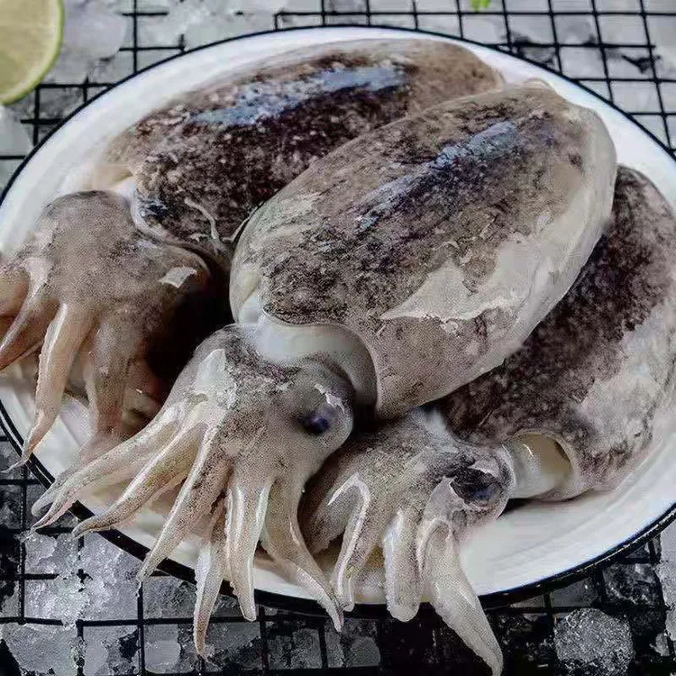莱州当地野生鲜墨鱼新鲜干净鲜嫩京东包邮