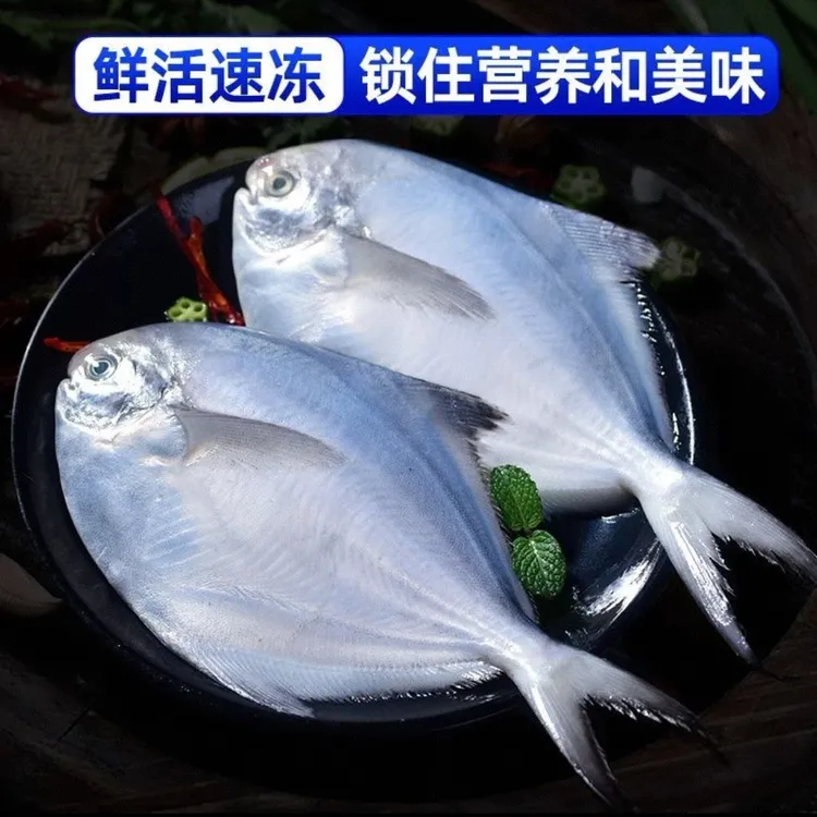 【到手5斤】深海海捕新鲜速冻银鲳鱼刺少肉嫩冷链包邮Z商品图