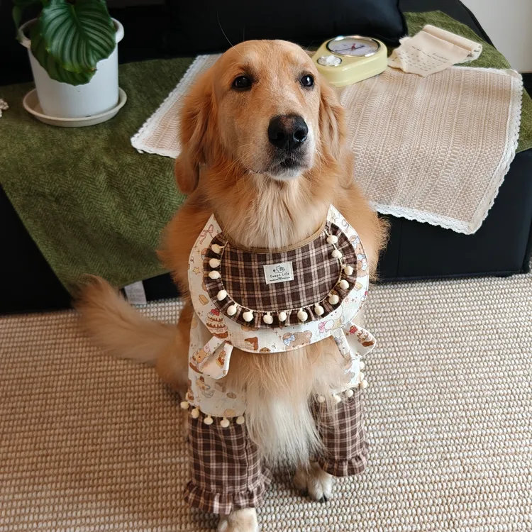 狗狗宠物护肘衣可爱印花加厚护腿边牧金毛等中大型犬防脏护膝套装