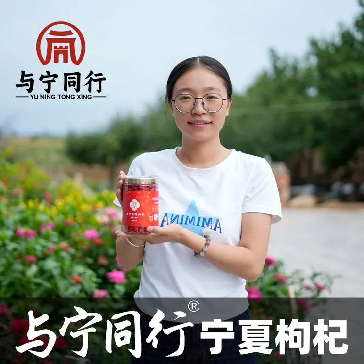 与宁同行杞喜锁鲜枸杞子250g新货真空低温冻干枸杞子红枸杞茶泡水