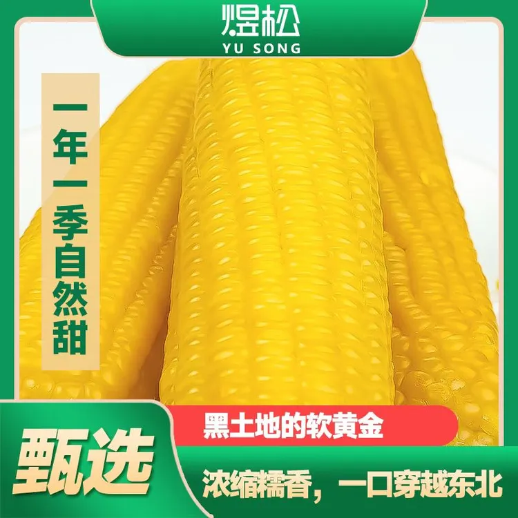 【10支装】煜松2025新鲜东北黄糯玉米真空包装软糯香甜营养代300g