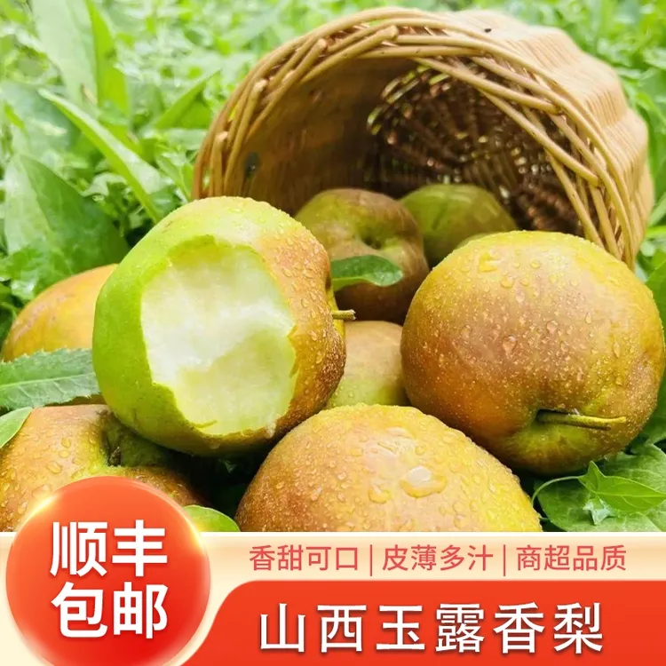 【顺丰包邮】正宗山西玉露香梨薄皮脆甜香梨子整箱应季新鲜水果礼盒
