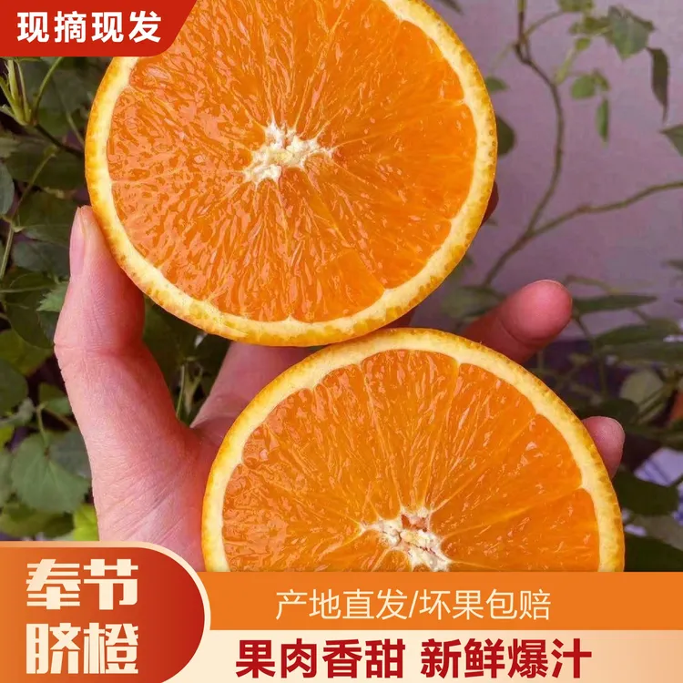 正宗奉节脐橙新鲜产地直发多汁5斤脐橙10斤20斤直发新鲜橙夔喜