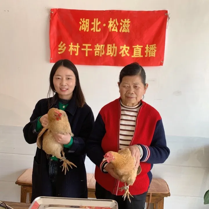 新鲜现杀湖北农村农户散养自然喂养公鸡母鸡 包冰率10%以内