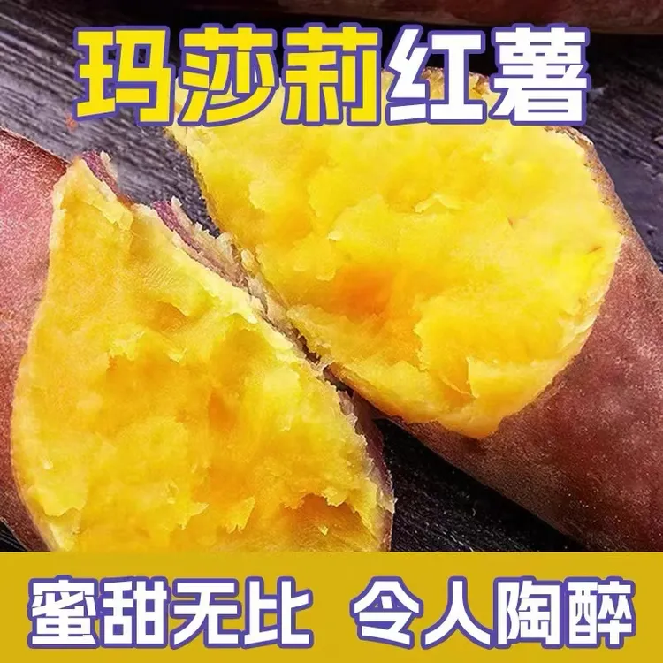 【兴乡专属】玛莎莉彰武地瓜 带箱五斤
