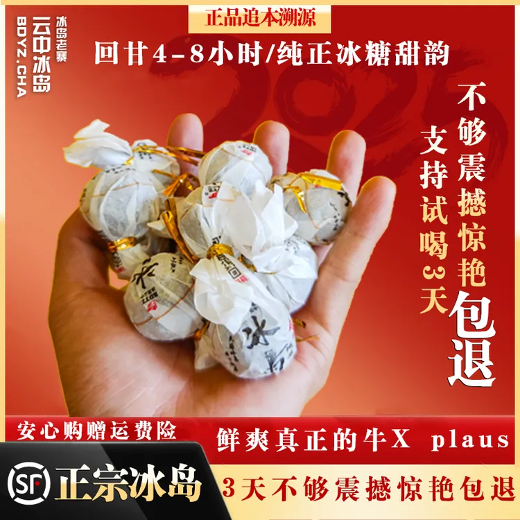 2024-25冰岛地界纯料秋茶龙珠5泡茶样试喝装零农残激素有机产品