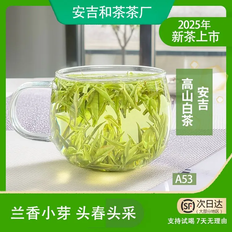 安吉新茶白茶A53兰香小芽2025高山茶原产核心产区高山云雾生态茶