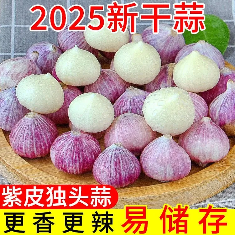 【2025新干蒜】高山种植紫皮独头干蒜 辛辣醇香 颗粒饱满