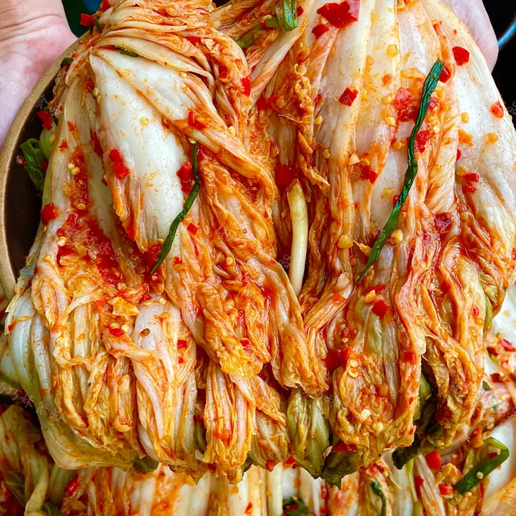 杨巧妹酸辣白菜江西中式辣白菜咸酸辣脆不甜即食下饭菜腌菜酸泡菜