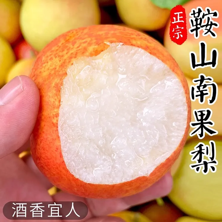 鞍山南果梨9斤当季新鲜水果南国梨香水红皮冻梨东北整箱包邮梨子