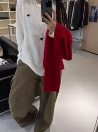 7981预【PINGJIE】2025长袖德绒打底时尚休闲潮流舒适百搭洋气T恤