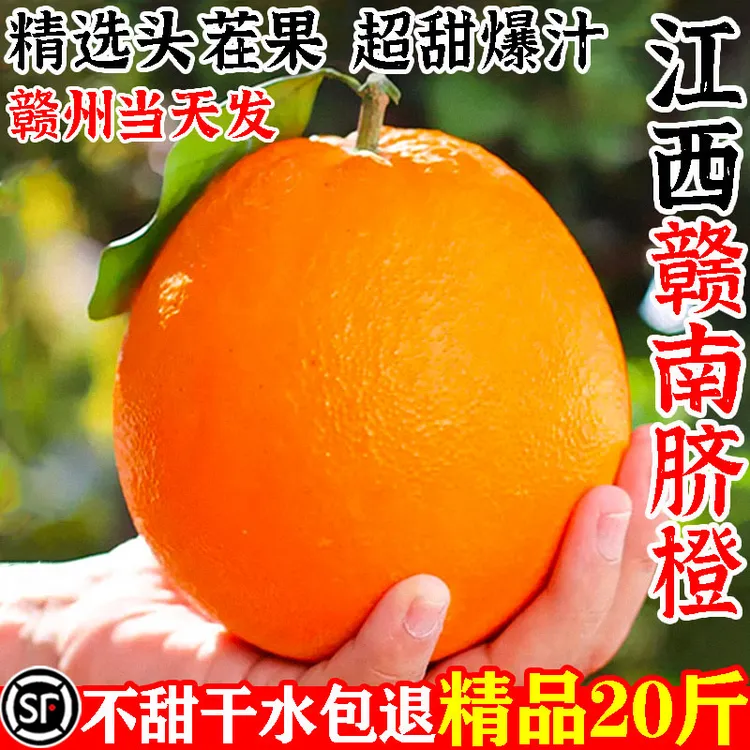 江西赣南脐橙橙子新鲜水果10斤特大榨汁专用冰糖果冻夏甜批发商用