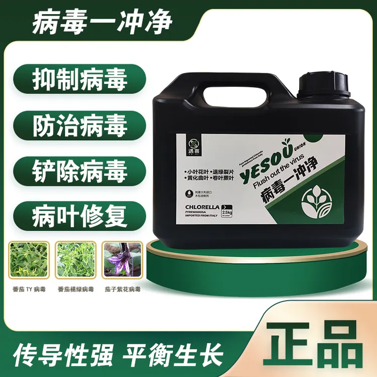 病毒一冲净微生物菌剂平衡生长增产增收番茄黄瓜茄子辣椒西葫芦