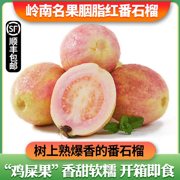 【正宗增城】胭脂红番石榴鸡屎果树上熟红心芭乐软糯低糖顺丰包邮
